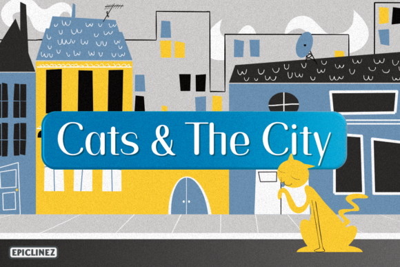 Cats and the City Font for Small Business Branding