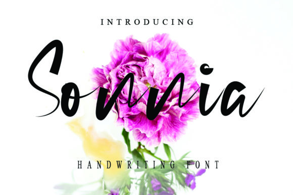 Sonnia: A Handwritten Font for Modern Web Design